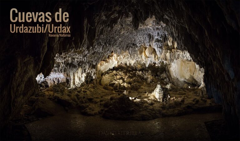 Las cuevas de Urdazubi/Urdax