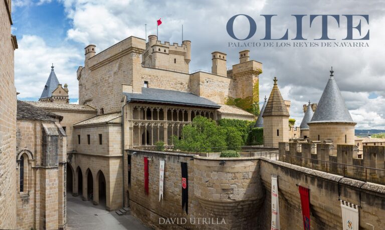 Olite, Palacio de los reyes de Navarra