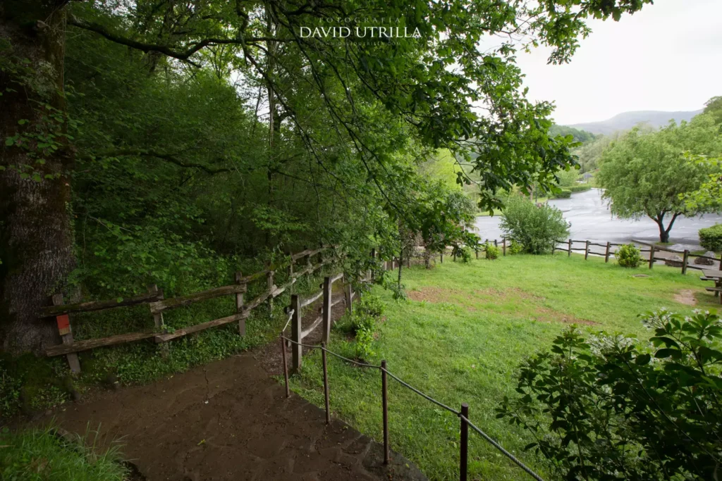 Cuevas de Urdazubi/Urdax