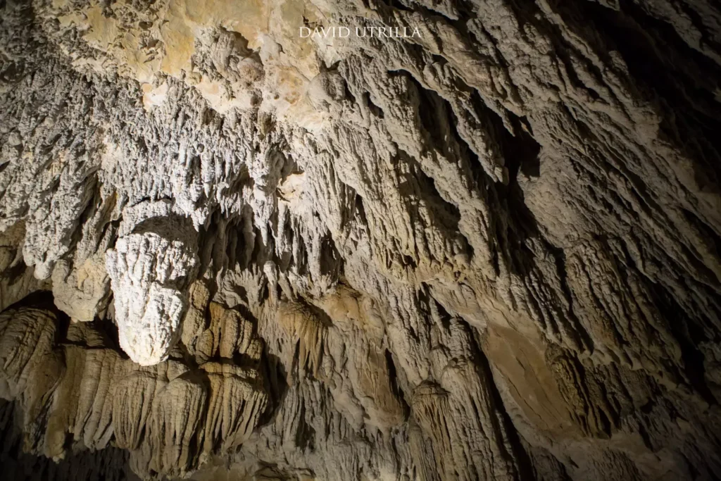 Cuevas de Urdazubi/Urdax