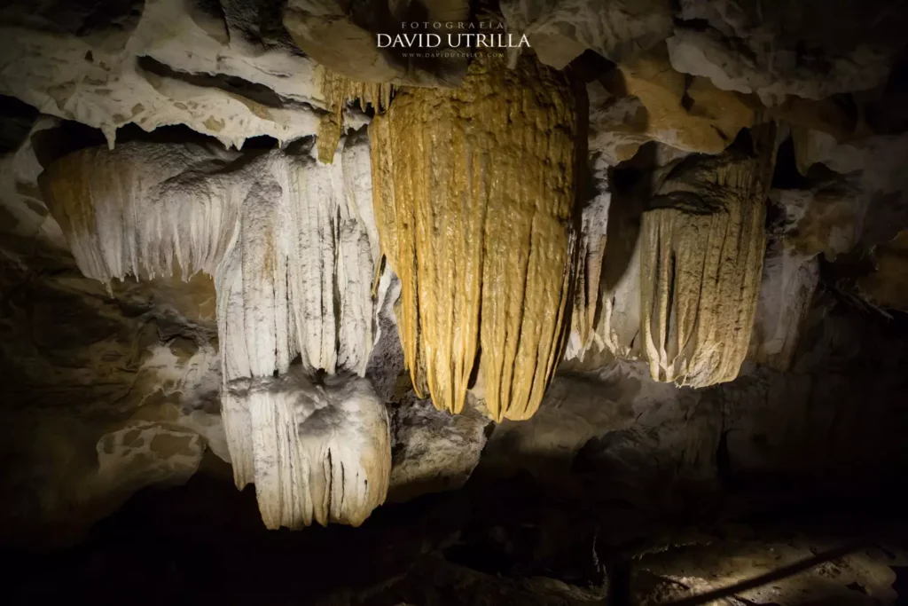 Cuevas de Urdazubi/Urdax