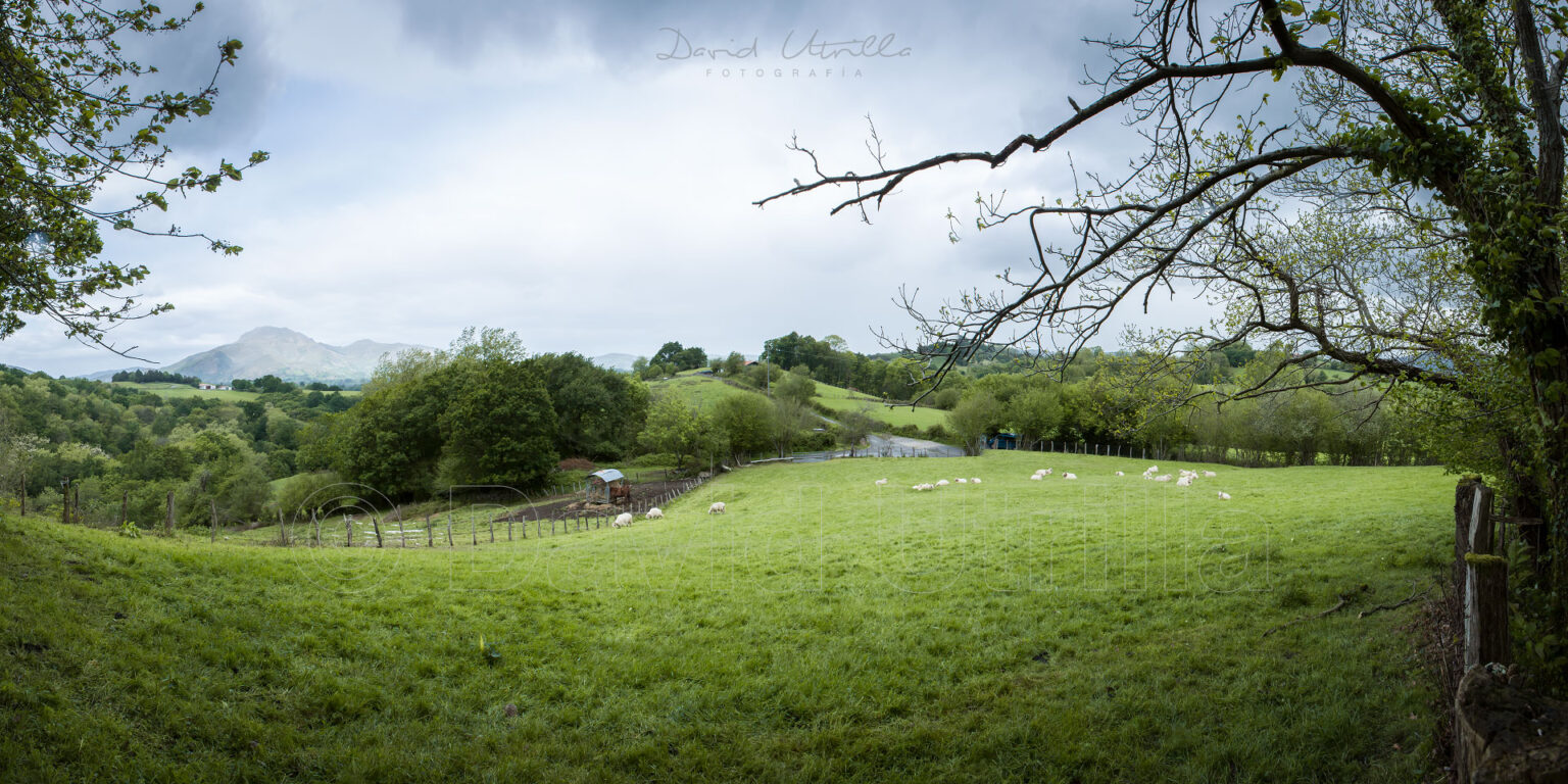 Campos de Zugarramurdi