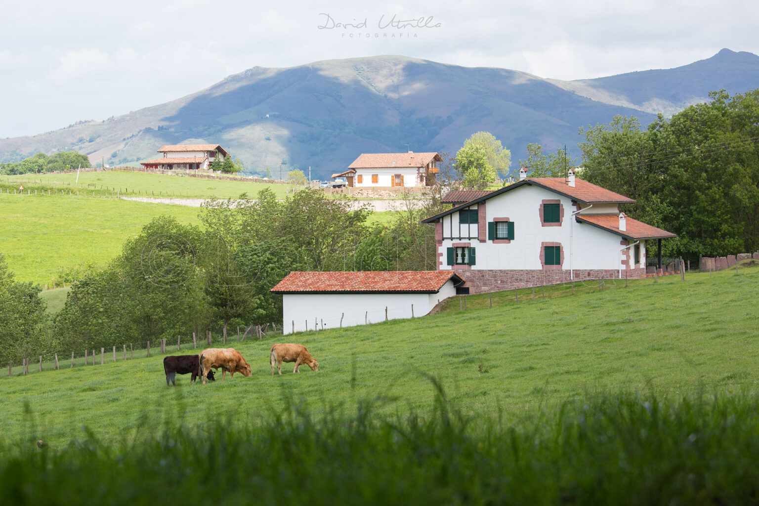 Escenas de Zugarramurdi