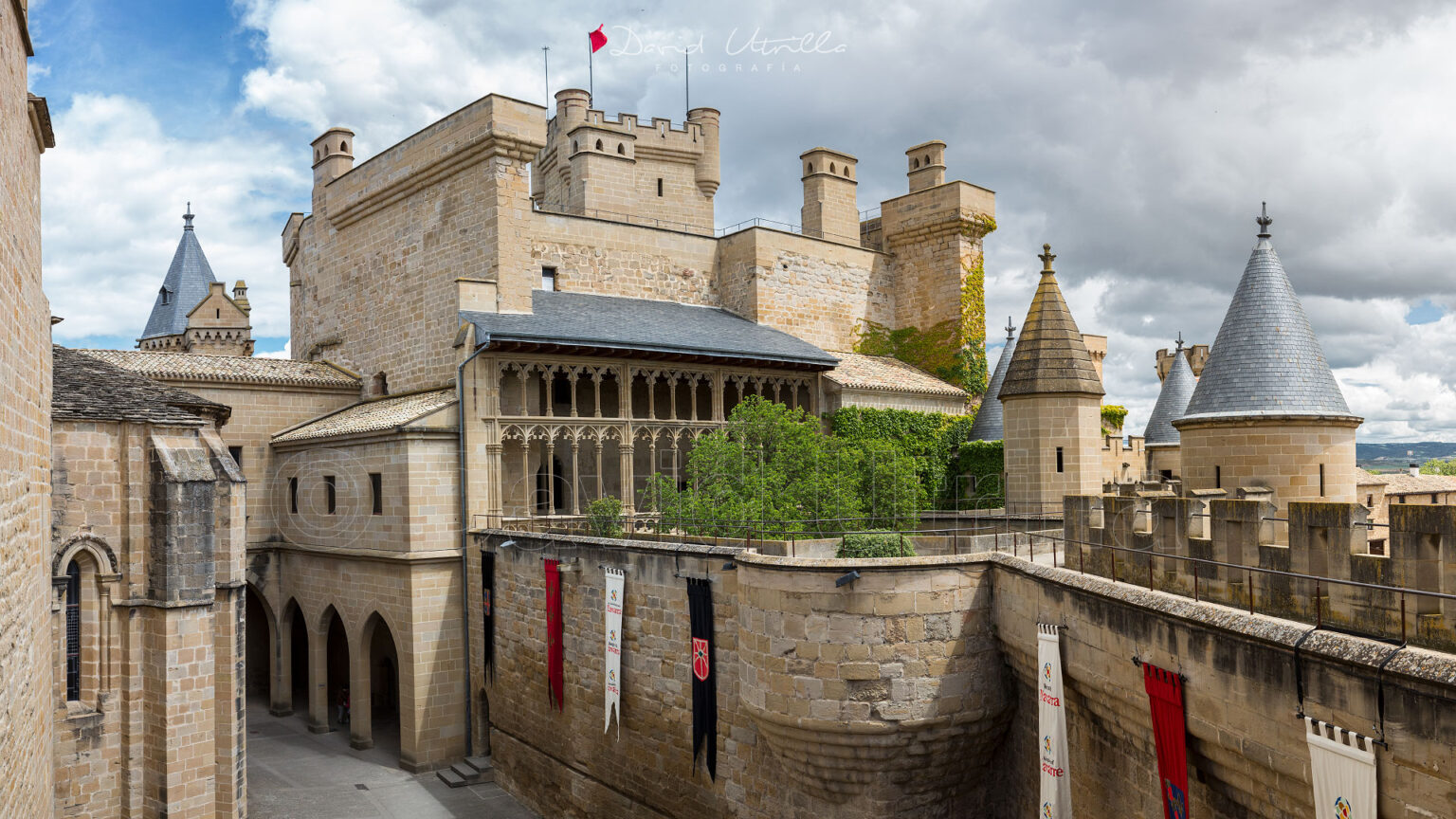 Palacio de los reyes de Navarra en Olite