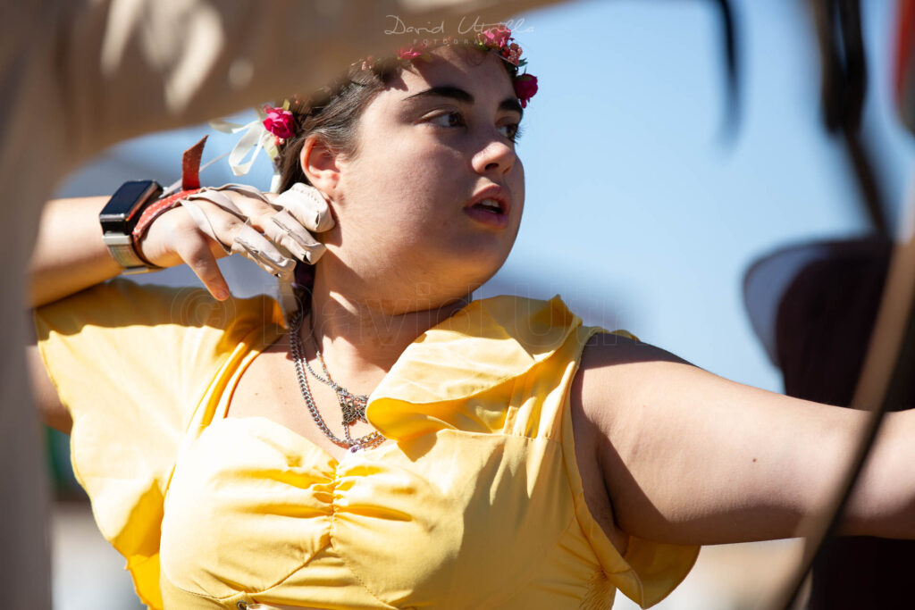 arquera disparando